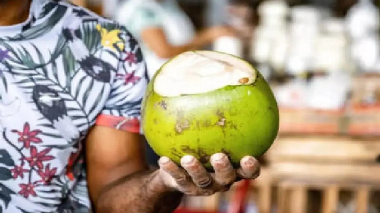 ರಸ್ತೆ ಬದಿ ಎಳನೀರು ಕುಡಿಯೋ ಮುನ್ನ ಹುಷಾರ್, ತಾಜಾ ಆಗಿರಲು ಚರಂಡಿ ನೀರೂ ಬಳಸ್ತಾರೆ ನೋಡಿ! ರಸ್ತೆ ಬದಿ ಎಳನೀರು ಕುಡಿಯೋ ಮುನ್ನ ಹುಷಾರ್, ತಾಜಾ ಆಗಿರಲು ಚರಂಡಿ ನೀರೂ ಬಳಸ್ತಾರೆ ನೋಡಿ!