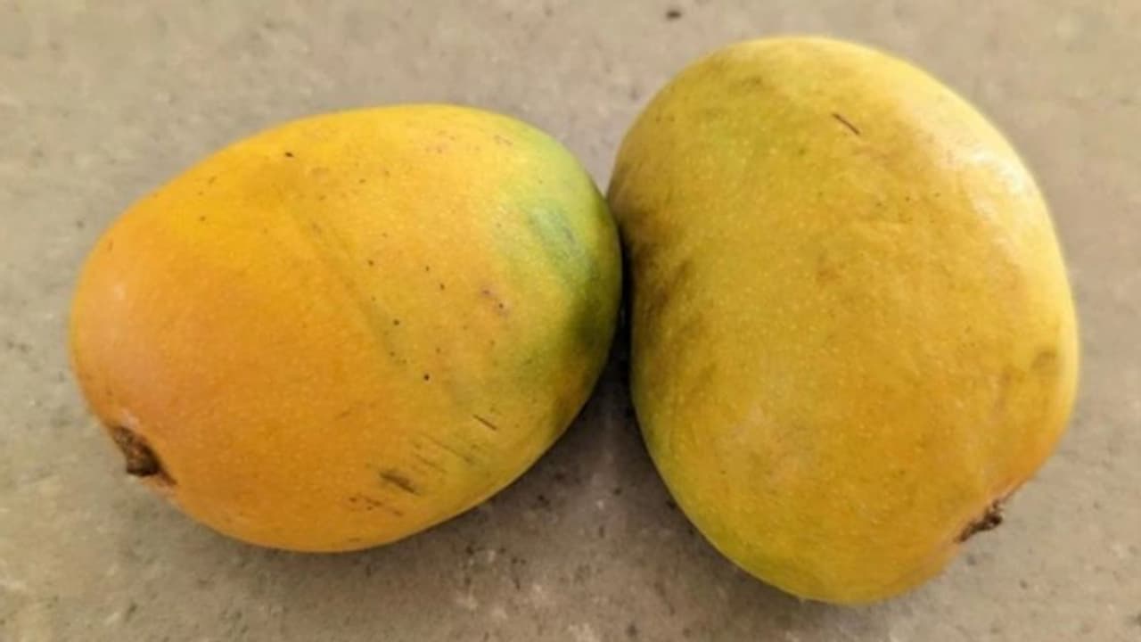 'വീട്ടുജോലിക്കാരി സമ്മാനിച്ചതാണ്'; സന്തോഷം പങ്കിട്ട് സോഷ്യല്‍ മീഡിയയില്‍ പോസ്റ്റ് സംഭവം വൈറലുമായി