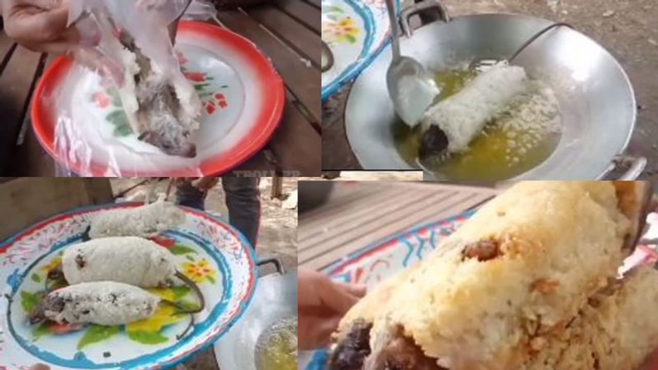 ಯಪ್ಪಾ.ಏನ್ ಜನಾನಪ್ಪ..ಇಲಿಯನ್ನೂ ಬಿಡದೆ ಫ್ರೈ ಮಾಡಿ ತಿನ್ತಾರಲ್ಲಾ!