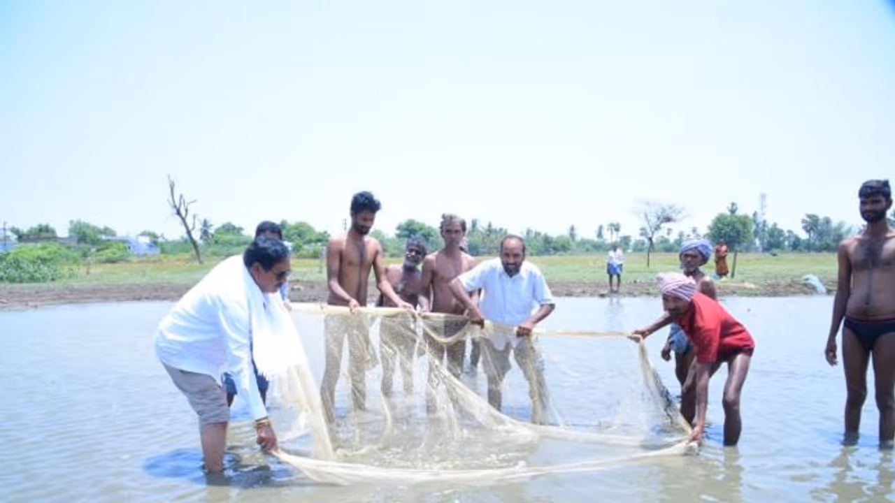 తెలంగాణ చెరువుల వద్ద కోలాహలం...జాలరిగా మారి చేపలు పట్టిన మంత్రి ఎర్రబెల్లి (వీడియో)