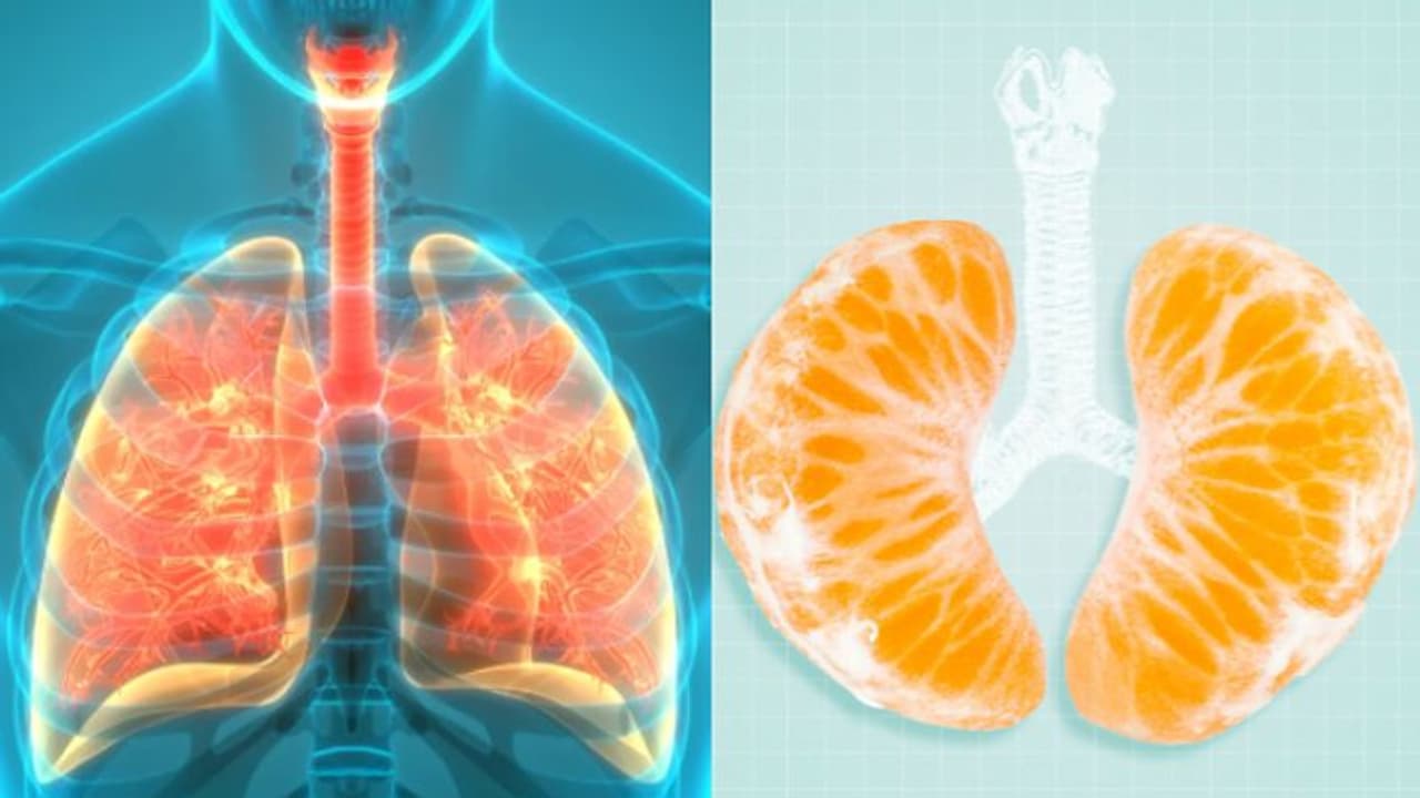 ശ്വാസകോശത്തിന്‍റെ ആരോഗ്യം ഉറപ്പിക്കാം; കഴിക്കാം ഈ അഞ്ച് ഭക്ഷണങ്ങള്‍...