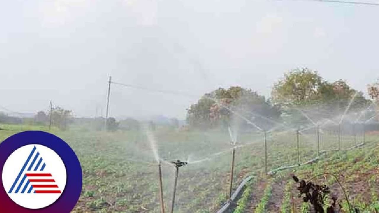 Karnataka Monsoon: ಕೈಕೊಟ್ಟಮಳೆ, ಸ್ಪಿಂಕ್ಲರ್‌ ಮೊರೆ ಹೋದ ನರಗುಂದ ರೈತರು!