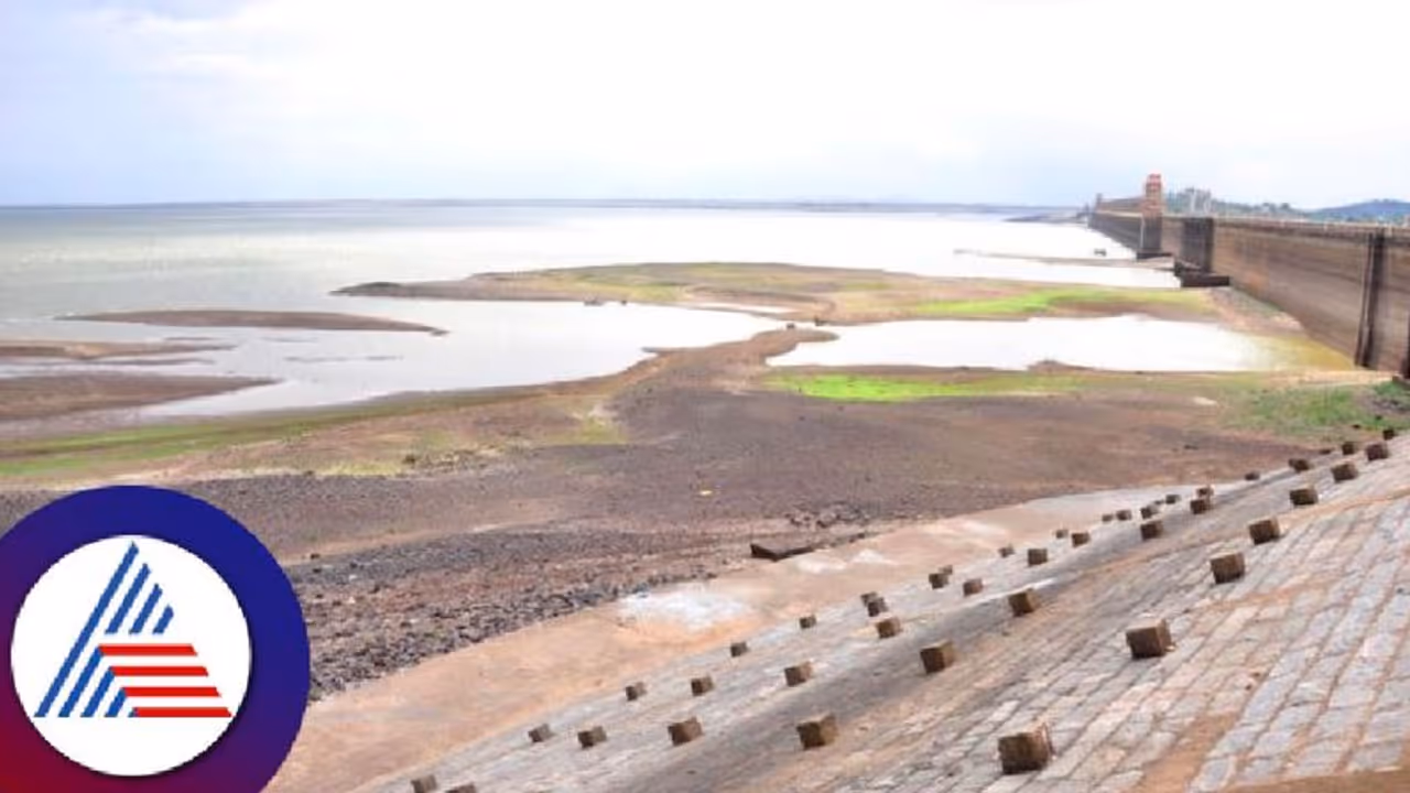 Karnataka Dry Spell: Marine species, birds face existential threat as Tungabhadra reservoir water level dips
