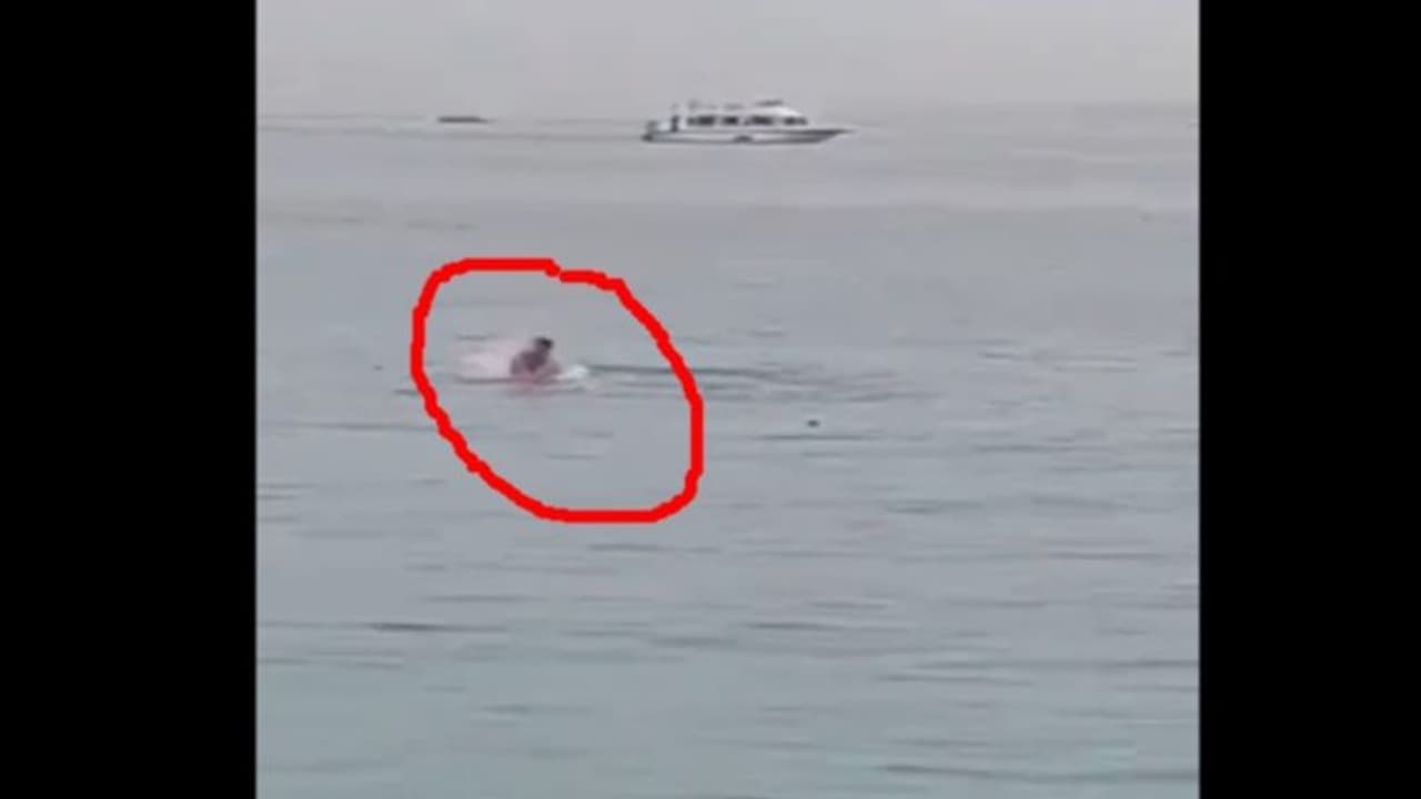 ಕ್ಷಣದಲ್ಲಿ ಖಲಾಸ್: ಶಾರ್ಕ್ ಮೀನಿಗೆ ಆಹಾರವಾದ ರಷ್ಯನ್ ಪ್ರವಾಸಿ: ಸಾವಿನ ಕ್ಷಣ ವೈರಲ್ ಕ್ಷಣದಲ್ಲಿ ಖಲಾಸ್: ಶಾರ್ಕ್ ಮೀನಿಗೆ ಆಹಾರವಾದ ರಷ್ಯನ್ ಪ್ರವಾಸಿ: ಸಾವಿನ ಕ್ಷಣ ವೈರಲ್