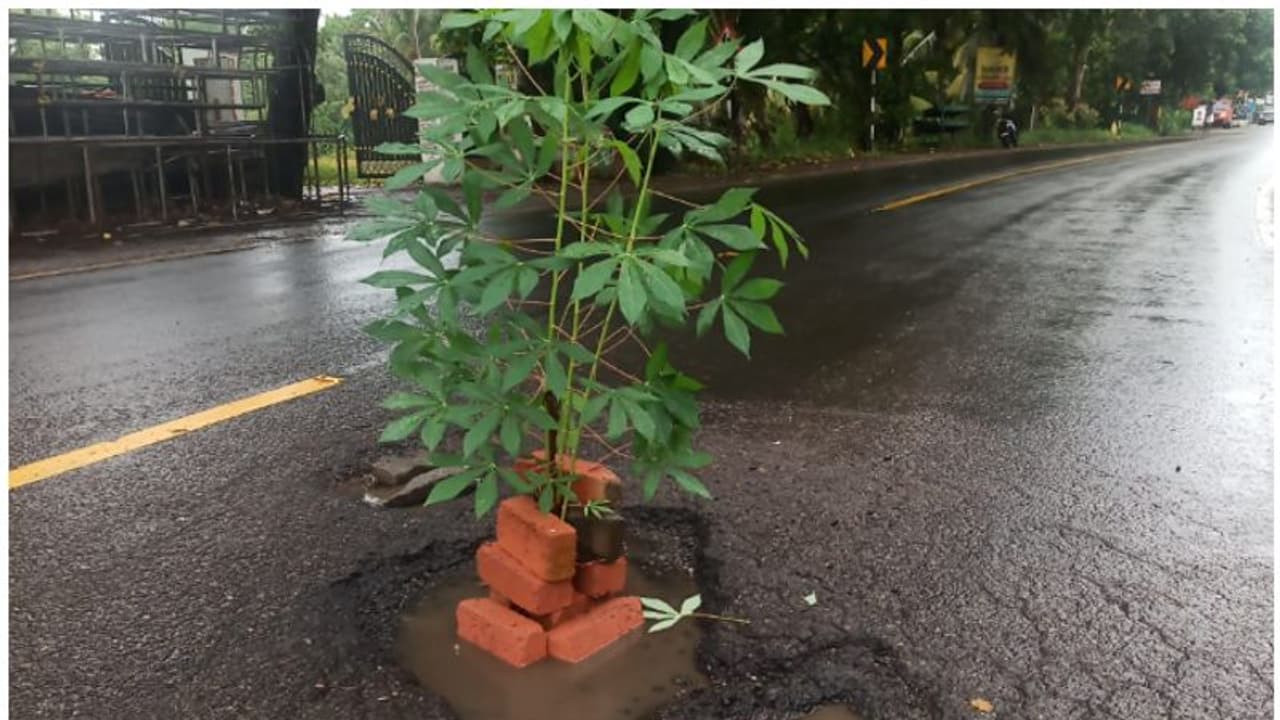 ഇനിയെങ്കിലും കണ്ണ് തുറക്കൂ..! അല്ലേൽ കുഴിയിൽ നട്ട കപ്പ പാകമാകും, നാട്ടാര് ചമ്മന്തി കൂട്ടി കഴിക്കേണ്ടിയും വരും ഇനിയെങ്കിലും കണ്ണ് തുറക്കൂ..! അല്ലേൽ കുഴിയിൽ നട്ട കപ്പ പാകമാകും, നാട്ടാര് ചമ്മന്തി കൂട്ടി കഴിക്കേണ്ടിയും വരും