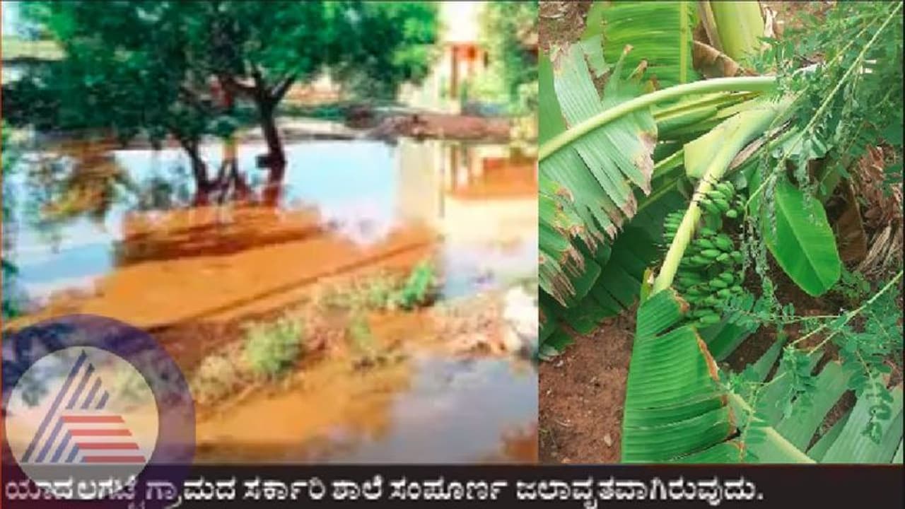 Chitradurga rains: ಚಳ್ಳಕೆರೆಯಲ್ಲಿ ಭಾರೀ ಮಳೆಗೆ ಬೆಳೆ ನಾಶ: ಲಕ್ಷಾಂತರ ರು. ನಷ್ಟ! 