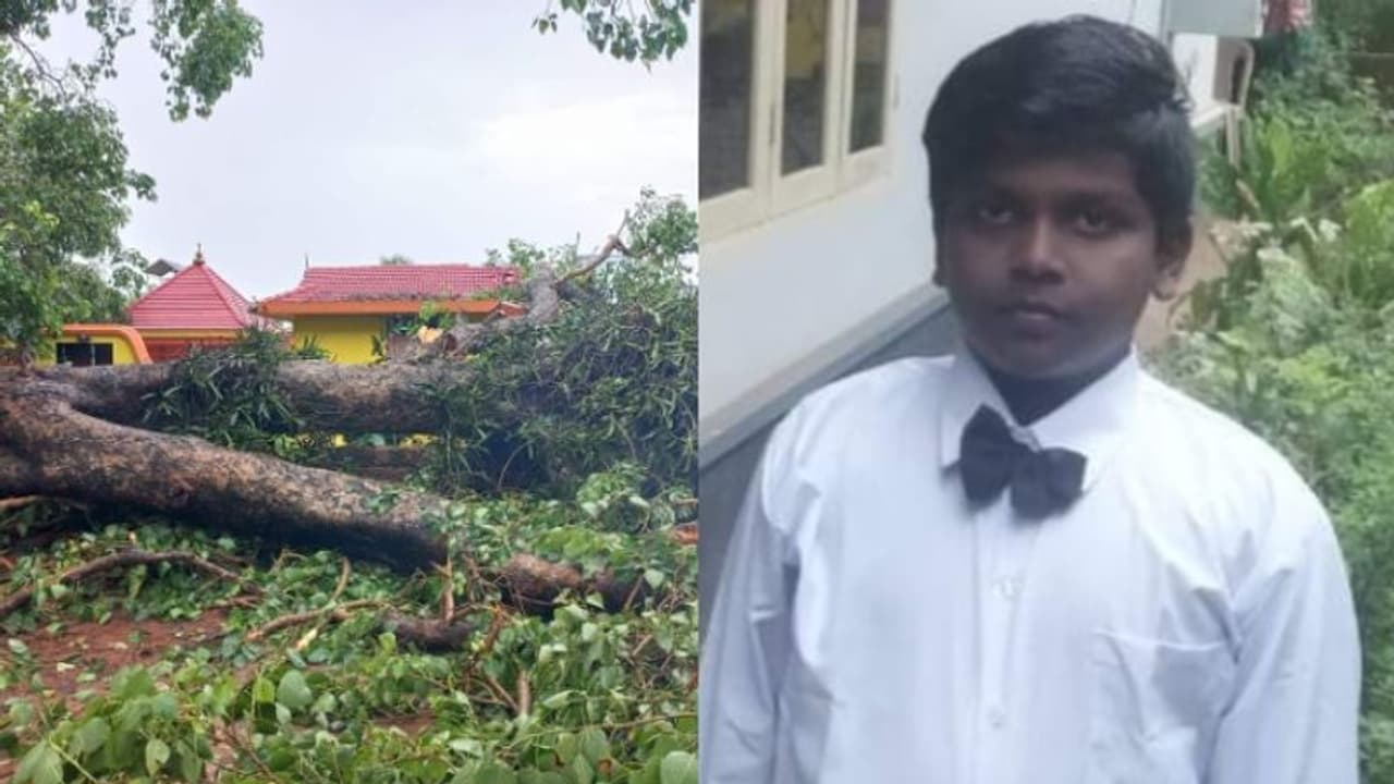 ആൽമരം ഒടിഞ്ഞുവീണത് ഫുട്ബോൾ കളിച്ച കുട്ടികളുടെ മേലെ; ആലുവയിൽ 7 വയസുകാരൻ മരിച്ചു, മൂന്ന് കുട്ടികൾക്ക് പരിക്ക് ആൽമരം ഒടിഞ്ഞുവീണത് ഫുട്ബോൾ കളിച്ച കുട്ടികളുടെ മേലെ; ആലുവയിൽ 7 വയസുകാരൻ മരിച്ചു, മൂന്ന് കുട്ടികൾക്ക് പരിക്ക്