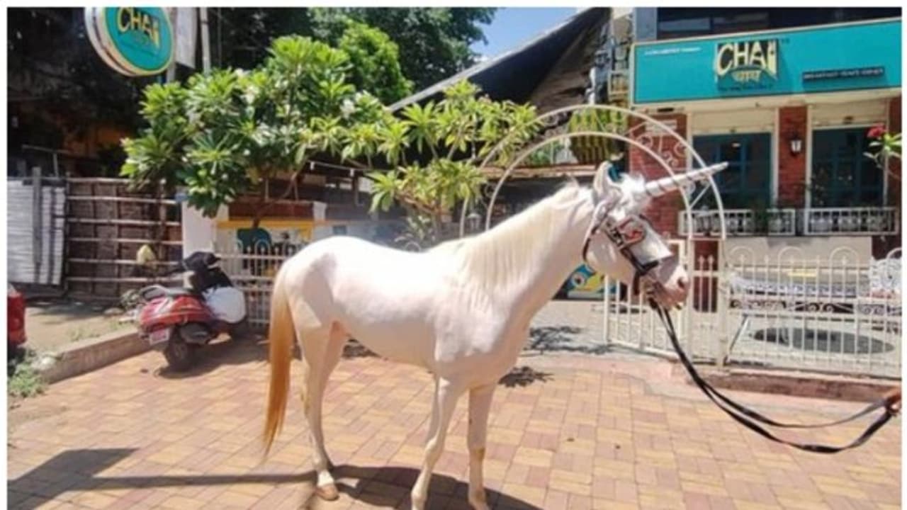 യൂണികോണ്‍ ഇന്ത്യയില്‍? അല്ല, 'സ്റ്റാര്‍ട്ടപ്പ് കോണ്‍' എന്ന് നെറ്റസണ്‍സ് ! 