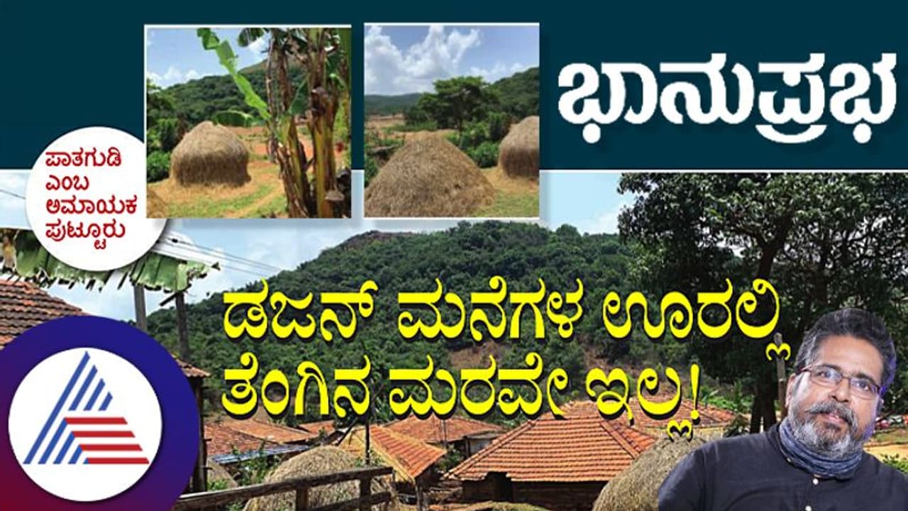 Clean Village: ಡಜನ್ ಮನೆಗಳ ಈ ಊರಲ್ಲಿ ತೆಂಗಿನ ಮರವೇ ಇಲ್ಲ! Clean Village: ಡಜನ್ ಮನೆಗಳ ಈ ಊರಲ್ಲಿ ತೆಂಗಿನ ಮರವೇ ಇಲ್ಲ!