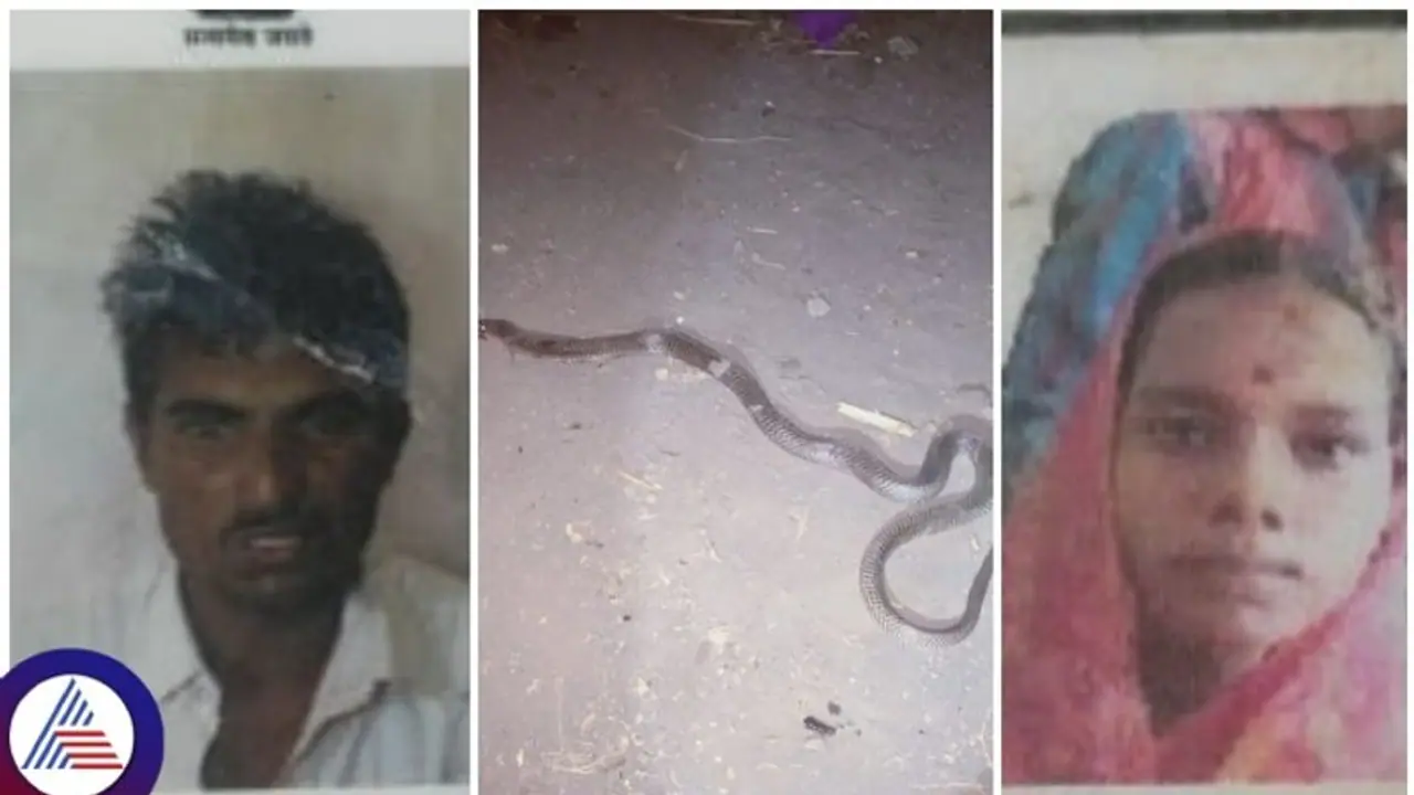 ಮನೆಯಲ್ಲಿ ಮಲಗಿದ್ದ ದಂಪತಿಗೆ ಕಚ್ಚಿದ ಹಾವು: ಪತಿ ಸಾವು, ಪತ್ನಿ ಸ್ಥಿತಿ ಗಂಭೀರ