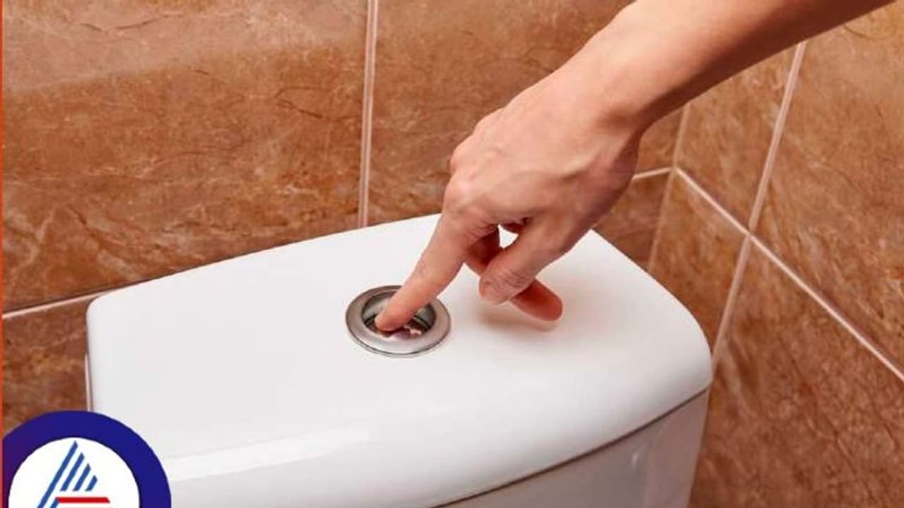 மனித மலத்தை ரூ.41,000 க்கு வாங்கும் கம்பெனி! ஒரு வருட டீலுக்கு ரெடியா இருந்தா ரூ.1.4 கோடி! மனித மலத்தை ரூ.41,000 க்கு வாங்கும் கம்பெனி! ஒரு வருட டீலுக்கு ரெடியா இருந்தா ரூ.1.4 கோடி!