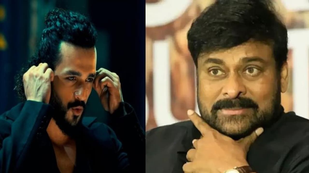 అఖిల్ 'ఏజెంట్' ఎఫెక్ట్ మొత్తం చిరంజీవిపైనే.. ఇక భోళా శంకరుడే దిక్కు అఖిల్ 'ఏజెంట్' ఎఫెక్ట్ మొత్తం చిరంజీవిపైనే.. ఇక భోళా శంకరుడే దిక్కు