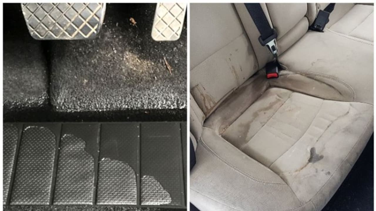 നനഞ്ഞുകുഴഞ്ഞോ കാറിനകം? ഇതാ മഴക്കാലത്ത് കാര് ഇന്റീരിയര് ഉണക്കാൻ അഞ്ച് എളുപ്പവഴികള്! നനഞ്ഞുകുഴഞ്ഞോ കാറിനകം? ഇതാ മഴക്കാലത്ത് കാര് ഇന്റീരിയര് ഉണക്കാൻ അഞ്ച് എളുപ്പവഴികള്!