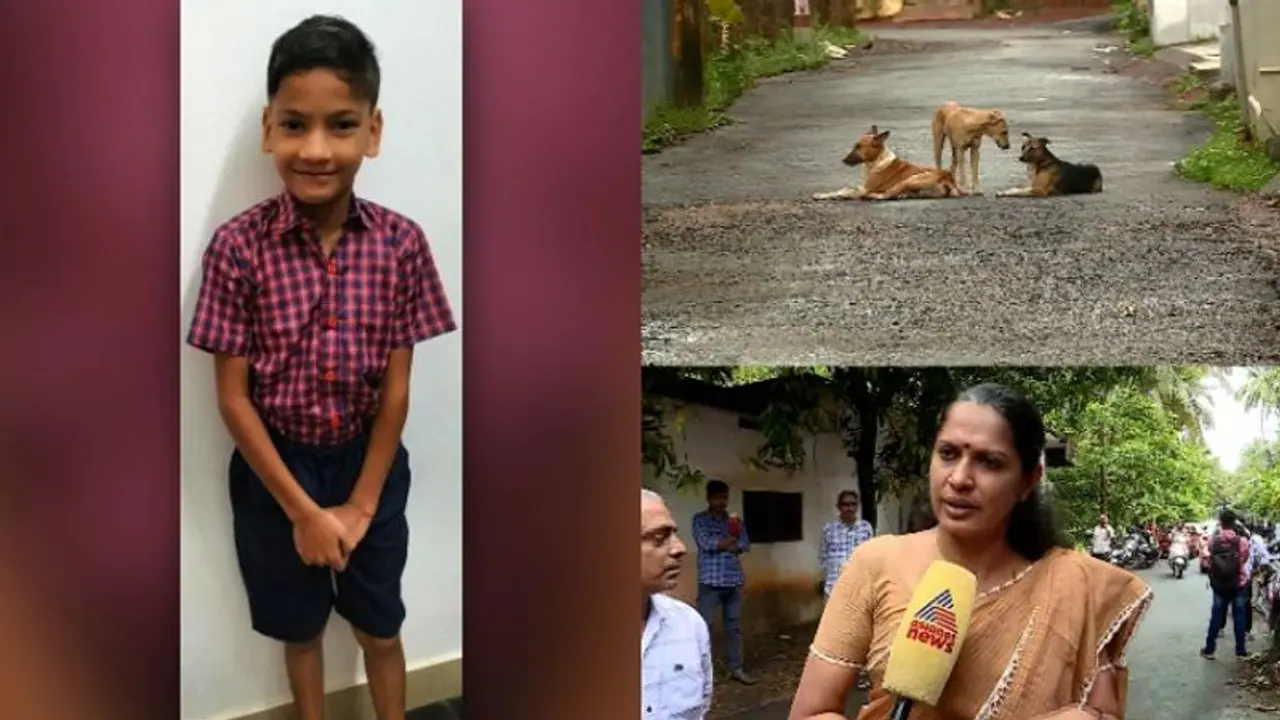 'അക്രമകാരികളായ തെരുവ് നായകളെ കൊല്ലാൻ അനുമതി വേണം'സുപ്രീം കോടതിയെ സമീപിക്കുമെന്ന് കണ്ണൂർ ജില്ല പഞ്ചായത്ത്‌