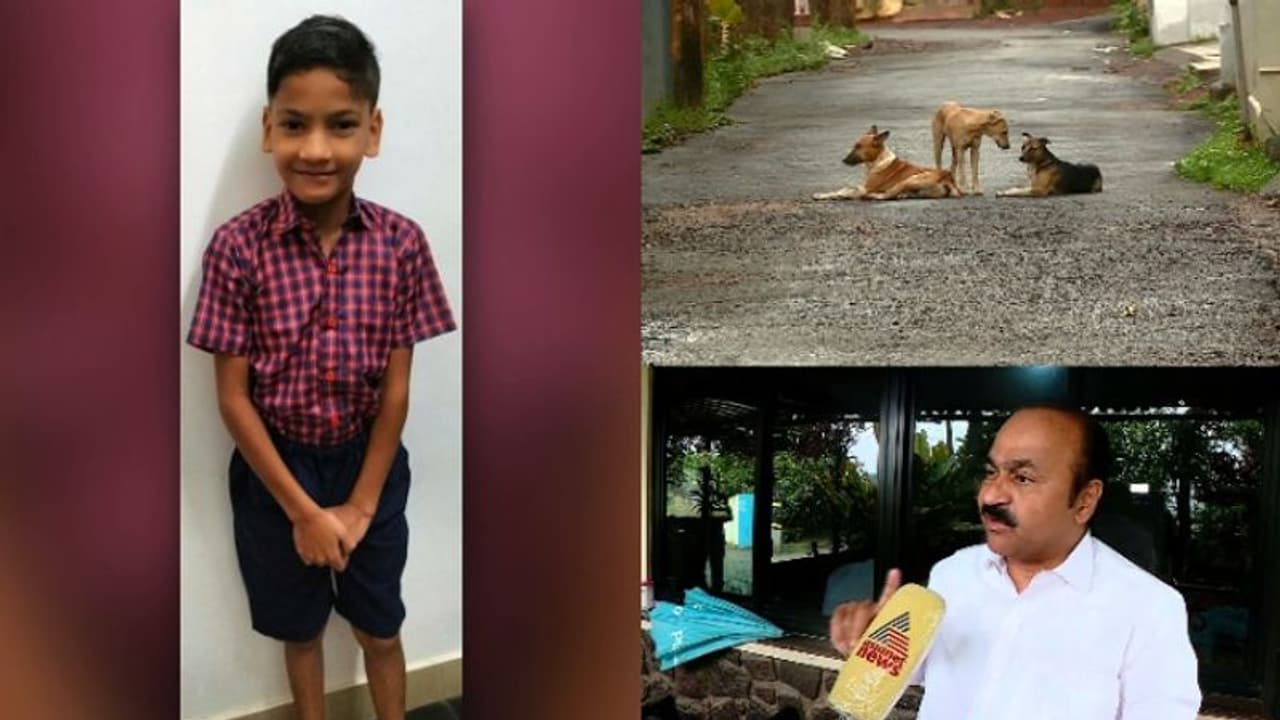 തെരുവുനായ നിയന്ത്രണത്തിലെ ഉറപ്പുകൾ ലംഘിച്ചു,നിഹാൽ നിഷാദിന്റെ മരണത്തിന് ഉത്തരവാദി സർക്കാരെന്ന് വിഡി സതീശന് തെരുവുനായ നിയന്ത്രണത്തിലെ ഉറപ്പുകൾ ലംഘിച്ചു,നിഹാൽ നിഷാദിന്റെ മരണത്തിന് ഉത്തരവാദി സർക്കാരെന്ന് വിഡി സതീശന്