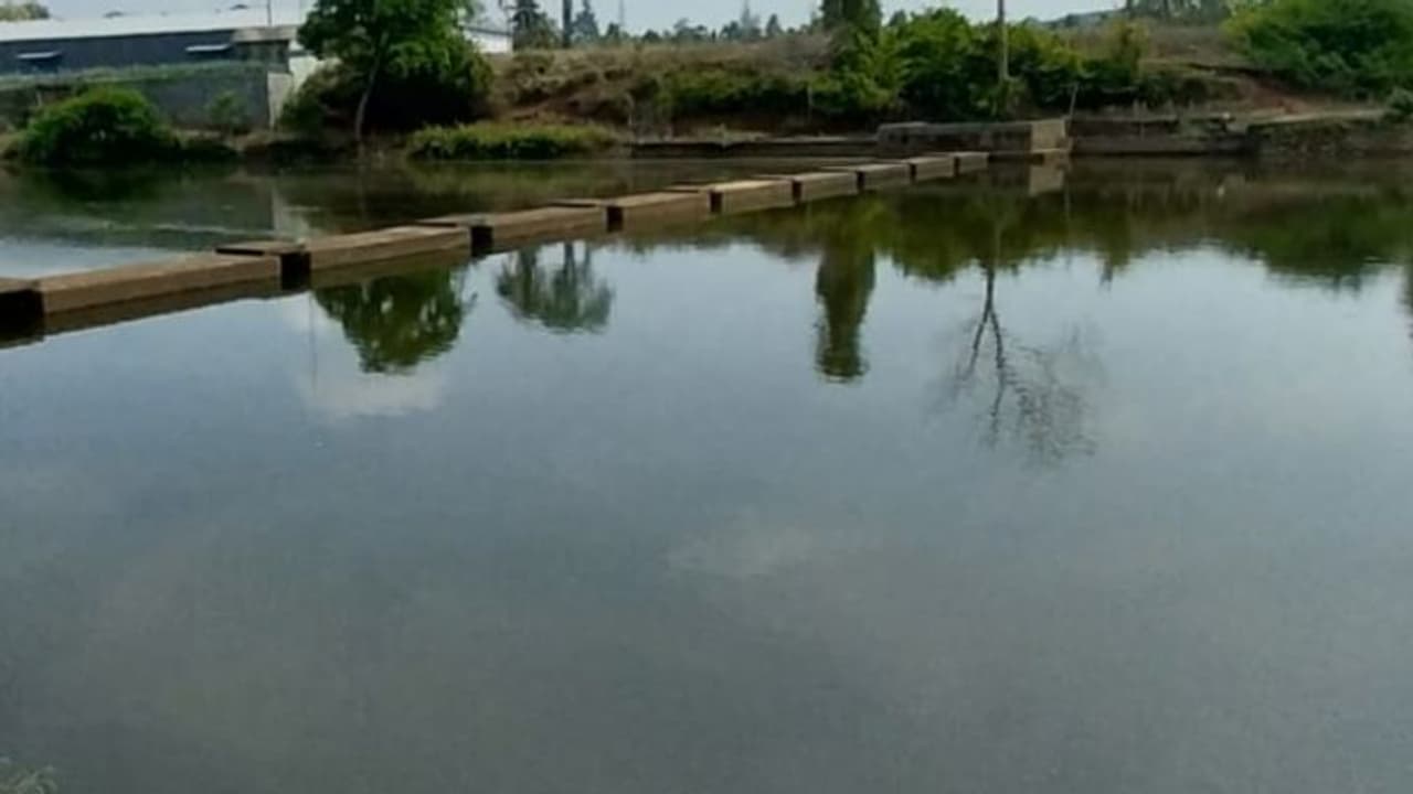 വിഴുങ്ങാൻ തക്കം പാത്തിരിക്കുന്ന ചാലക്കുടി പുഴയിലെ മരണക്കയങ്ങൾ; ഒരു മാസത്തിനിടെ ജീവൻ നഷ്ടമായത് നാലുപേര്ക്ക് വിഴുങ്ങാൻ തക്കം പാത്തിരിക്കുന്ന ചാലക്കുടി പുഴയിലെ മരണക്കയങ്ങൾ; ഒരു മാസത്തിനിടെ ജീവൻ നഷ്ടമായത് നാലുപേര്ക്ക്