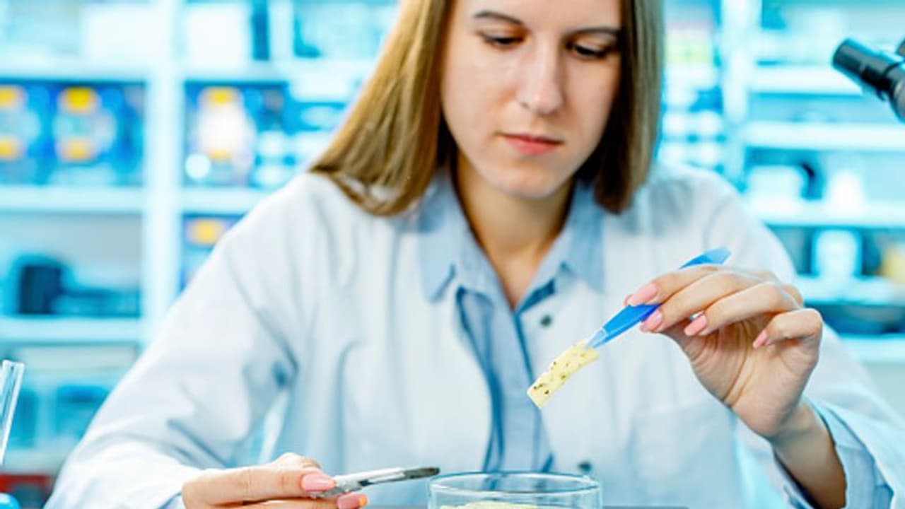 പ്രൊഫഷണൽ ചീസ് ടേസ്റ്റ് ടെസ്റ്റർ ആകാന്‍ താത്പര്യമുണ്ടോ? മണിക്കൂറിന് ആയിരങ്ങൾ ശമ്പളം