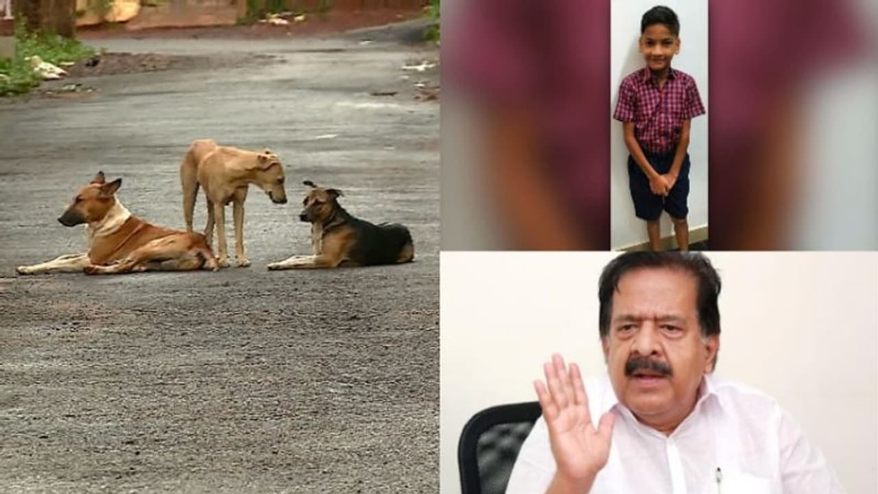  നിഹാൽ നൗഷാദ് സർക്കാർ അനാസ്ഥയുടെ രക്തസാക്ഷി ,യഥാർത്ഥ പ്രതി സംസ്ഥാന സർക്കാരെന്ന് രമേശ് ചെന്നിത്തല 