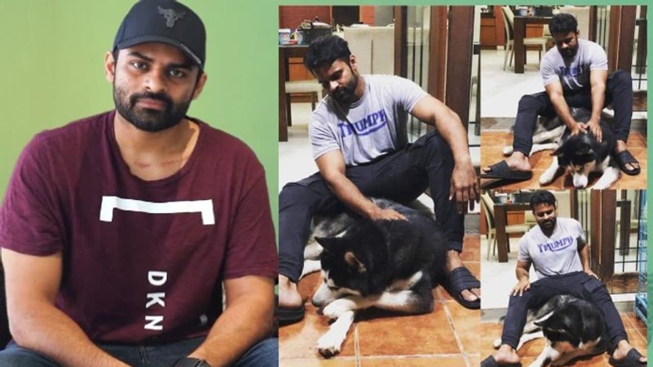 నా టాంగో నన్ను విడిచి వెళ్ళిపోయింది.. సాయిధరమ్ తేజ్ ఎమోషనల్ పోస్ట్.. నా టాంగో నన్ను విడిచి వెళ్ళిపోయింది.. సాయిధరమ్ తేజ్ ఎమోషనల్ పోస్ట్..