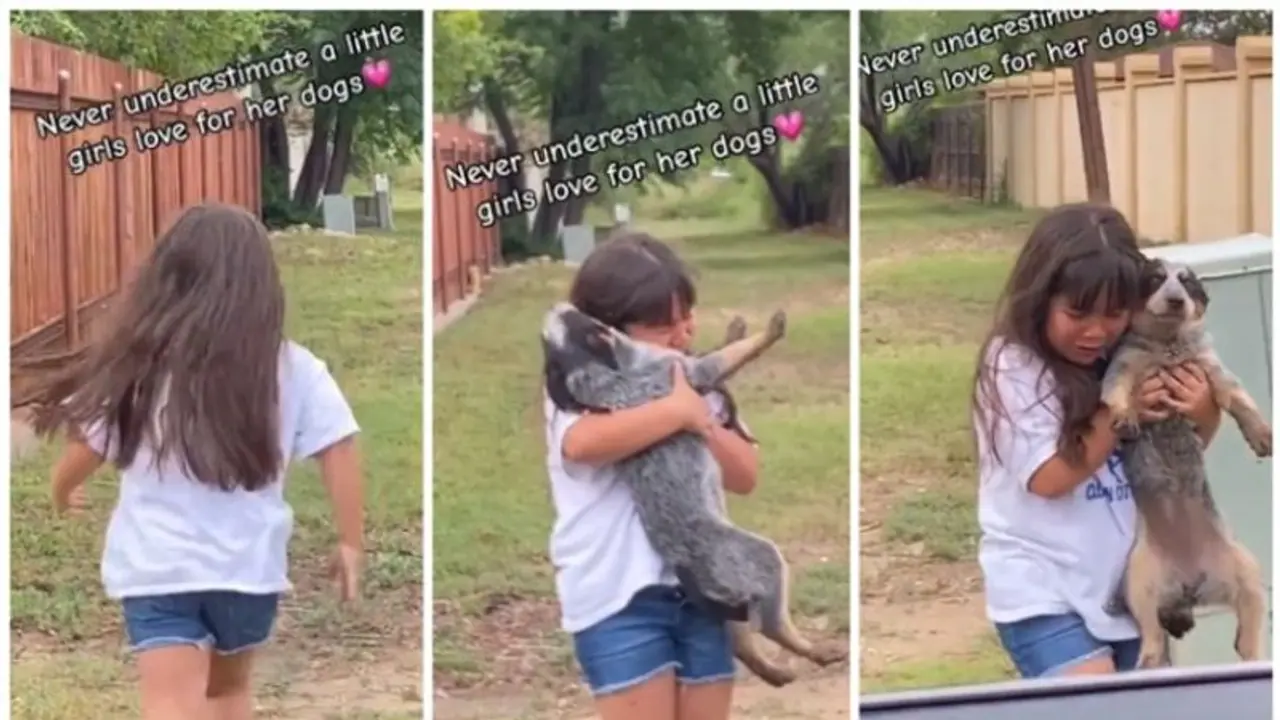 നഷ്ടപ്പെട്ട പട്ടിക്കുട്ടിയെ തിരികെ കിട്ടിയപ്പോള് കുട്ടിയുടെ ആനന്ദക്കണ്ണീര്; ഒപ്പം കരഞ്ഞ് നെറ്റിസണ്സ് ! നഷ്ടപ്പെട്ട പട്ടിക്കുട്ടിയെ തിരികെ കിട്ടിയപ്പോള് കുട്ടിയുടെ ആനന്ദക്കണ്ണീര്; ഒപ്പം കരഞ്ഞ് നെറ്റിസണ്സ് !