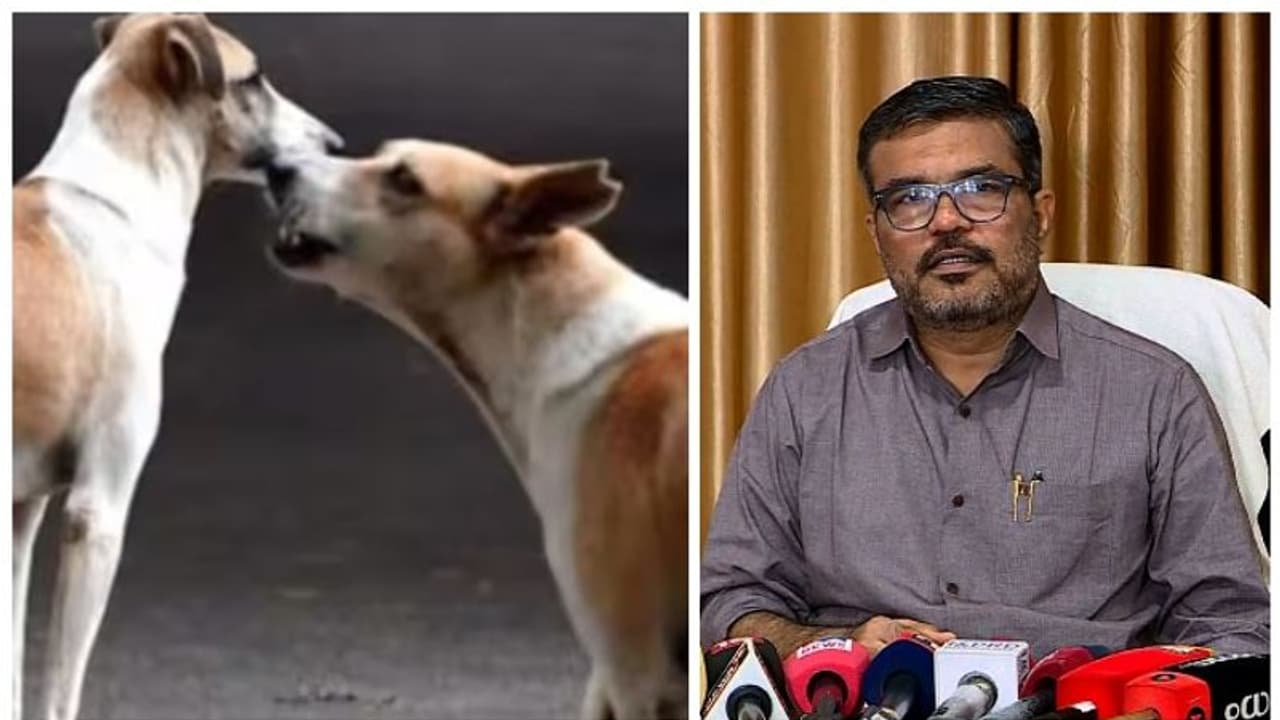 അക്രമകാരികളായ നായ്ക്കളെ കൊല്ലാൻ വഴി തേടി സർക്കാർ; ഉത്തരവിറക്കുന്നതിൽ നിയമ സാധുത പരിശോധിക്കുമെന്ന് എം ബി രാജേഷ് അക്രമകാരികളായ നായ്ക്കളെ കൊല്ലാൻ വഴി തേടി സർക്കാർ; ഉത്തരവിറക്കുന്നതിൽ നിയമ സാധുത പരിശോധിക്കുമെന്ന് എം ബി രാജേഷ്