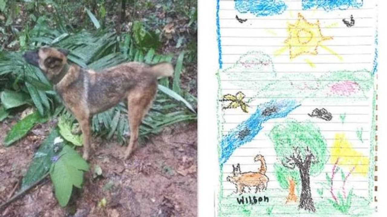 പ്രതീക്ഷകള് മങ്ങി, വില്സനായുള്ള തെരച്ചില് അവസാനിപ്പിച്ച് സൈന്യം പ്രതീക്ഷകള് മങ്ങി, വില്സനായുള്ള തെരച്ചില് അവസാനിപ്പിച്ച് സൈന്യം