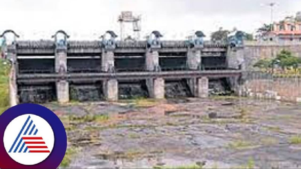 ಚಿಕ್ಕಮಗಳೂರು: ಜೀವನದಿಗಳು ಜನಿ​ಸು​ವ ಜಿಲ್ಲೆ​ಯಲ್ಲೇ ಮಳೆ ಕ್ಷಾಮ !