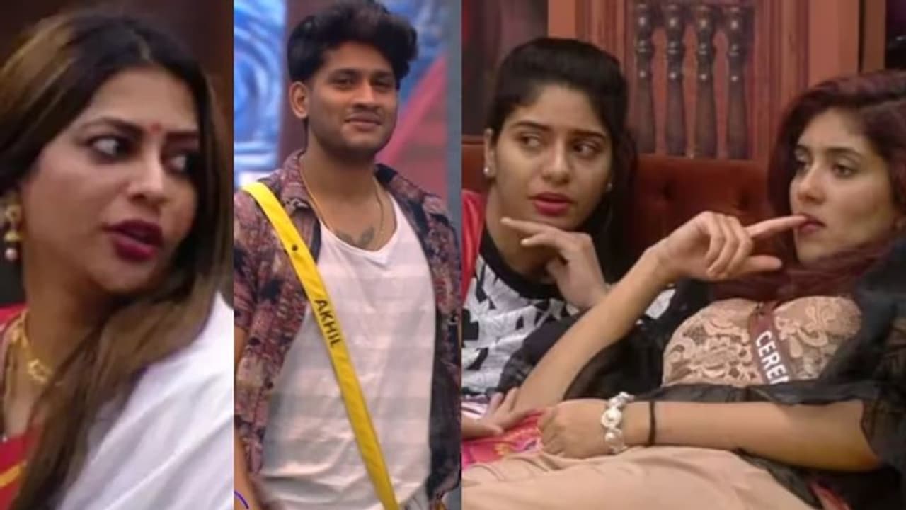 ശോഭേച്ചി അഖിലേട്ടനെ ചൊറിഞ്ഞ് കണ്ടന്റ് ഉണ്ടാക്കും, പക്ഷേ പുറത്തുവരുന്നത് തിരിച്ച്: റെനീഷ സെറീന സംഭാഷണം