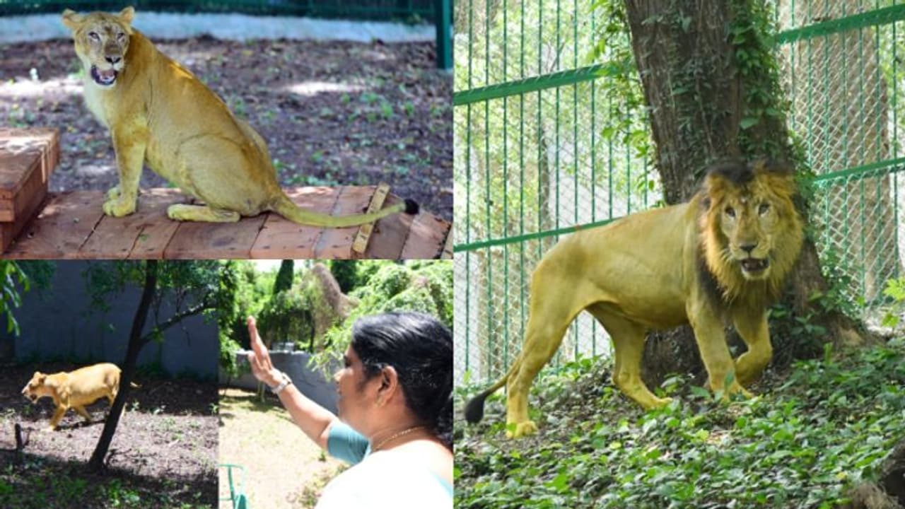 അവരെ പേര് വിളിച്ച് തുറന്നുവിട്ടു, ഇനി അനന്തപുരിയിൽ കാണും, കാണേണ്ടവർക്ക് വന്ന് കാണാം!