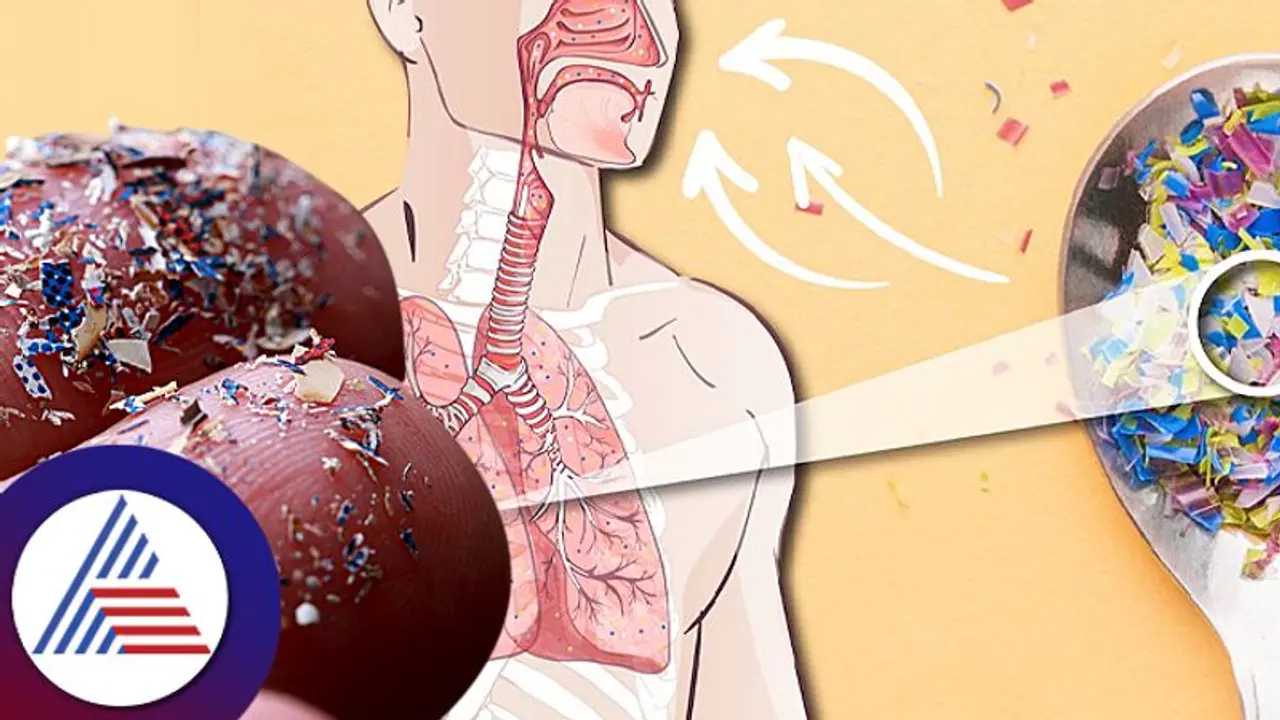 ನೀವು ಉಸಿರಾಡಿದಾಗ ಒಳ ಸೇರುವ ಮೈಕ್ರೋಪ್ಲಾಸ್ಟಿಕ್ ಸಂಗ್ರಹವಾಗೋದೆಲ್ಲಿ? ನೀವು ಉಸಿರಾಡಿದಾಗ ಒಳ ಸೇರುವ ಮೈಕ್ರೋಪ್ಲಾಸ್ಟಿಕ್ ಸಂಗ್ರಹವಾಗೋದೆಲ್ಲಿ?