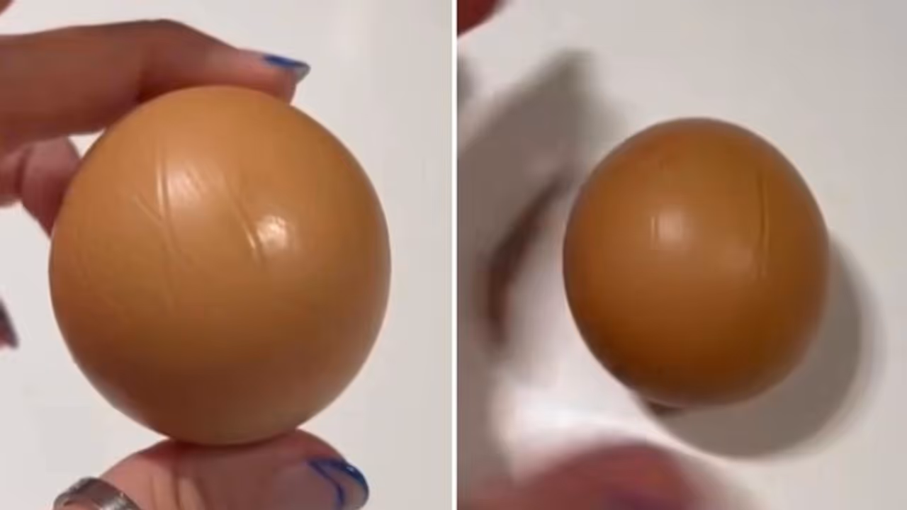 ഈ കോഴിമുട്ട പതിനായിരക്കണക്കിന് രൂപയ്ക്ക് വില്ക്കാം; എന്താണ് കാരണമെന്ന് അറിയൂ... ഈ കോഴിമുട്ട പതിനായിരക്കണക്കിന് രൂപയ്ക്ക് വില്ക്കാം; എന്താണ് കാരണമെന്ന് അറിയൂ...