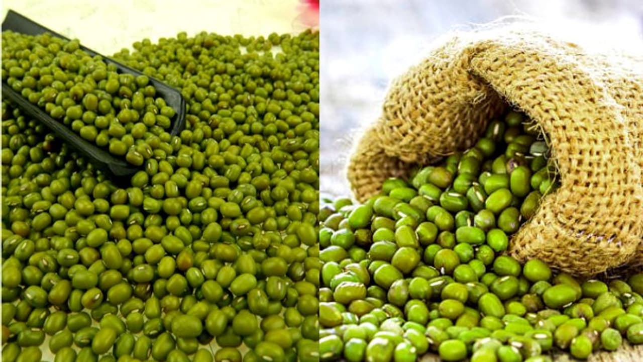 ചെറുപയർ വില ഉയർന്നേക്കും; ഭക്ഷ്യ വിലക്കയറ്റം ഉണ്ടായേക്കാം കാരണം ഇതാണ് ചെറുപയർ വില ഉയർന്നേക്കും; ഭക്ഷ്യ വിലക്കയറ്റം ഉണ്ടായേക്കാം കാരണം ഇതാണ്