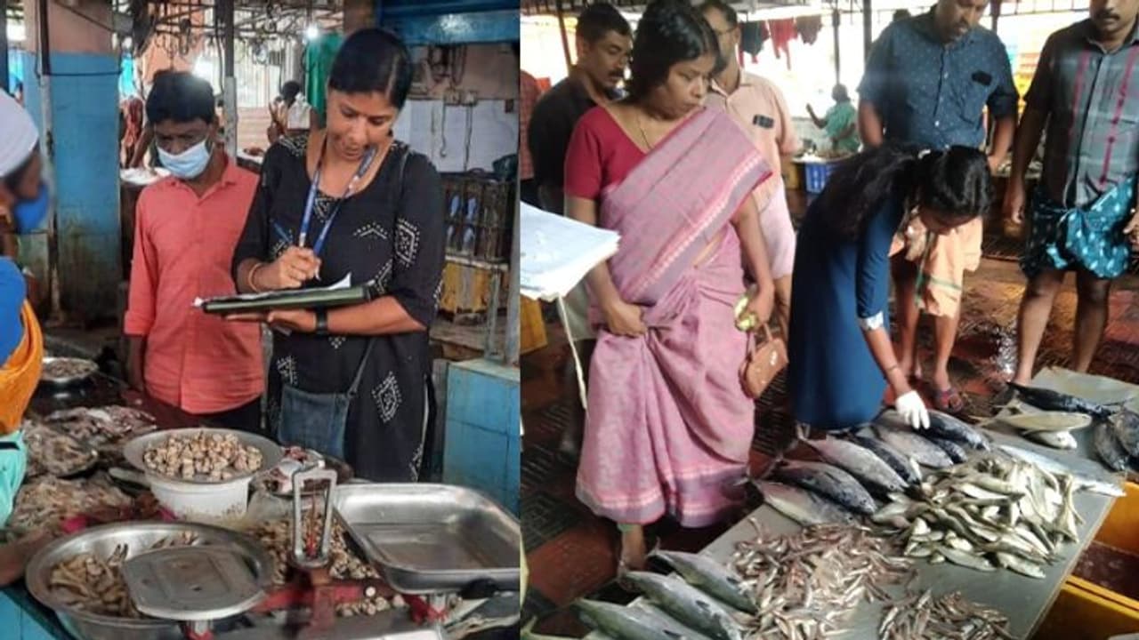 10 ദിവസം, 1536 പരിശോധനകള്‍; 269 കിലോ മത്സ്യം നശിപ്പിച്ചു, മഴക്കാല പരിശോധനയുമായി ഭക്ഷ്യ സുരക്ഷാ വകുപ്പ് 