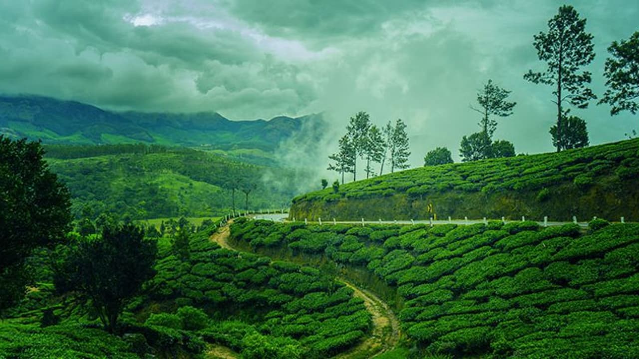 Munnar to Kovalam: Explore the 6 enchanting places of Kerala