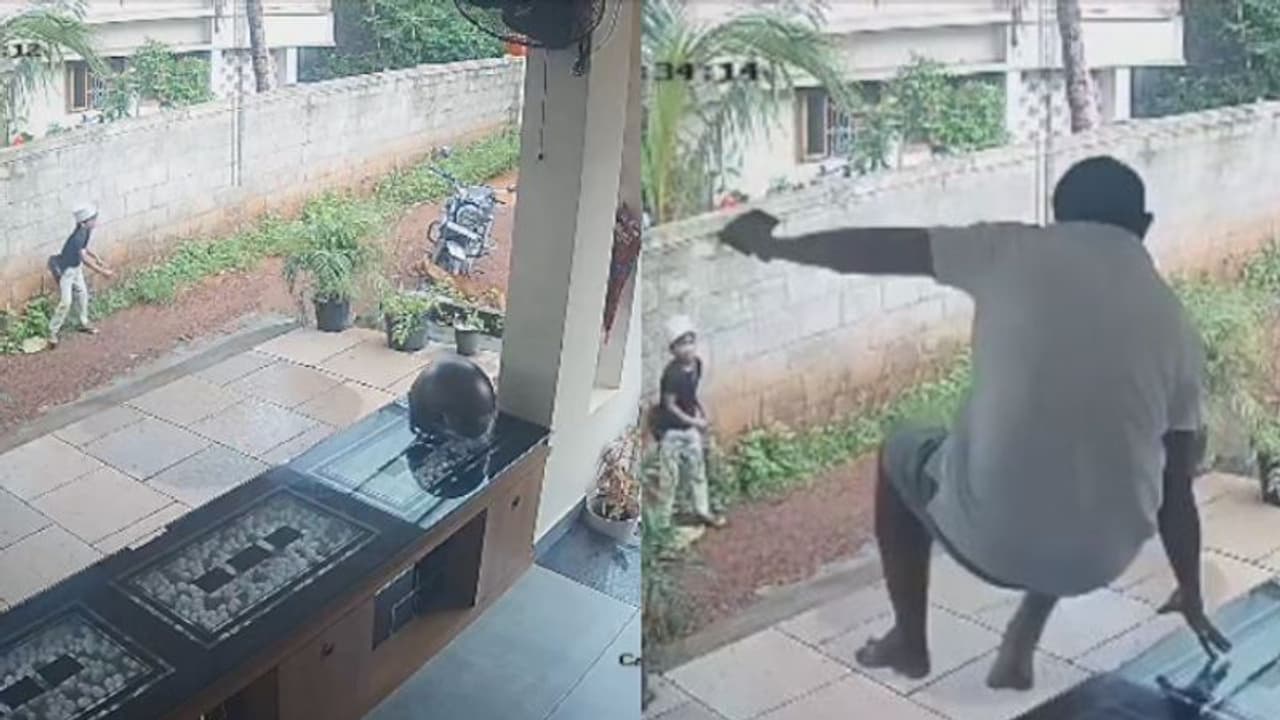 പിന്നില് നിന്നും തെരുവുനായ പാഞ്ഞെത്തി; വരാന്ത ചാടി നായയെ തുരത്തി, ബാലന് രക്ഷകനായി യുവാവ് പിന്നില് നിന്നും തെരുവുനായ പാഞ്ഞെത്തി; വരാന്ത ചാടി നായയെ തുരത്തി, ബാലന് രക്ഷകനായി യുവാവ്