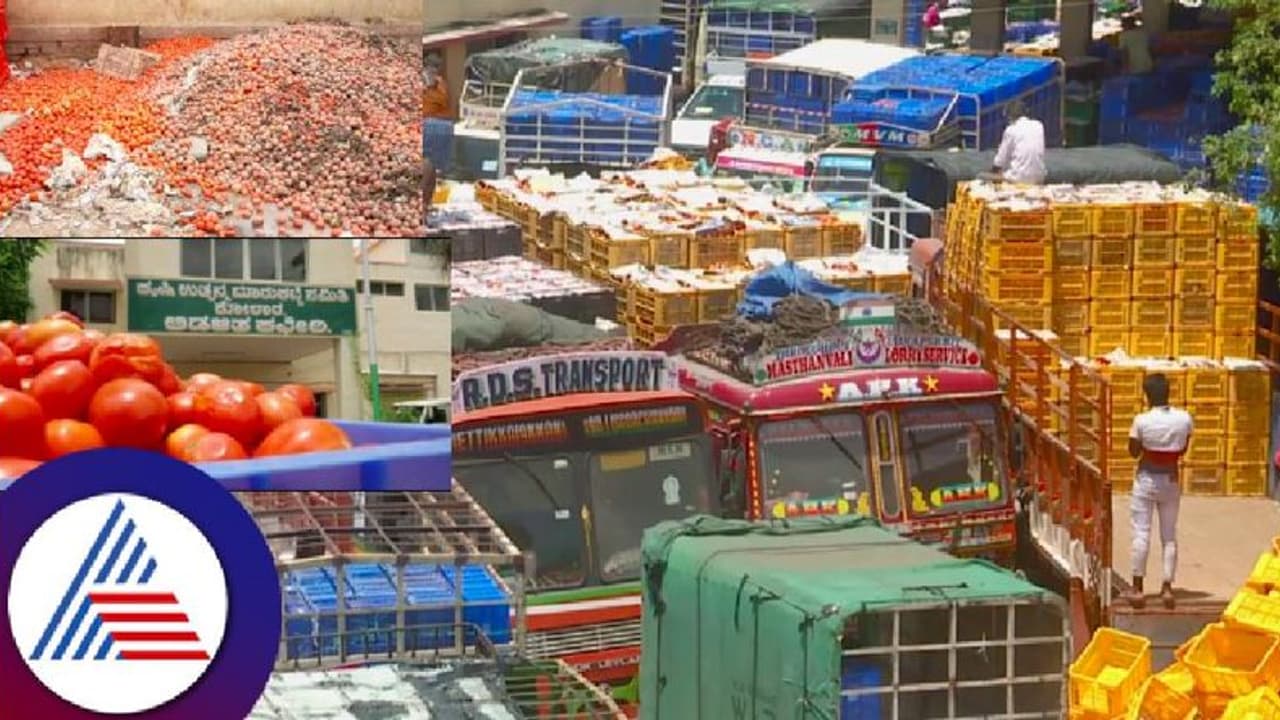 ಬೇಡಿಕೆ ಇಳಿಕೆ: ಕೋಲಾರದ ಟೊಮೊಟೊ ಬೆಳಗಾರರಿಗೆ ಆತಂಕ.! 