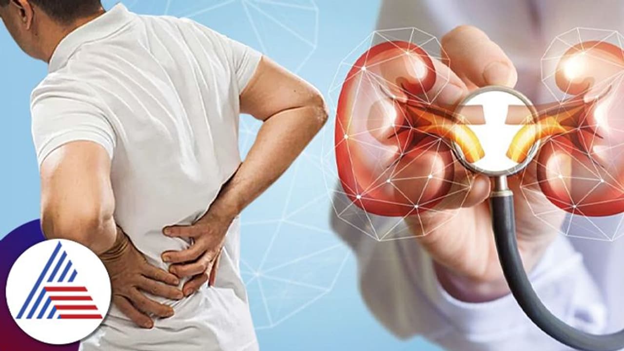 Health Tips: ಈ ಲಕ್ಷಣ ಕಡೆಗಣಿಸಿದ್ರೆ ಕಿಡ್ನಿ ಕ್ಯಾನ್ಸರ್ ಅಪಾಯ ಹೆಚ್ಚು Health Tips: ಈ ಲಕ್ಷಣ ಕಡೆಗಣಿಸಿದ್ರೆ ಕಿಡ್ನಿ ಕ್ಯಾನ್ಸರ್ ಅಪಾಯ ಹೆಚ್ಚು