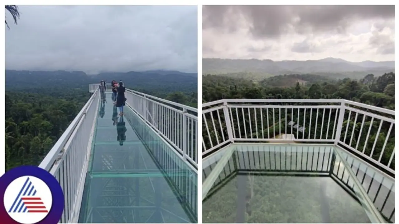 Madikeri Glass Skywalk Bridge: ಕರ್ನಾಟಕದ ಮೊದಲ ಗ್ಲಾಸ್ ಸ್ಕೈ ವಾಕ್ ಬ್ರಿಡ್ಜ್ ಆರಂಭ, ಪ್ರವಾಸಿಗರ ದಂಡು Madikeri Glass Skywalk Bridge: ಕರ್ನಾಟಕದ ಮೊದಲ ಗ್ಲಾಸ್ ಸ್ಕೈ ವಾಕ್ ಬ್ರಿಡ್ಜ್ ಆರಂಭ, ಪ್ರವಾಸಿಗರ ದಂಡು