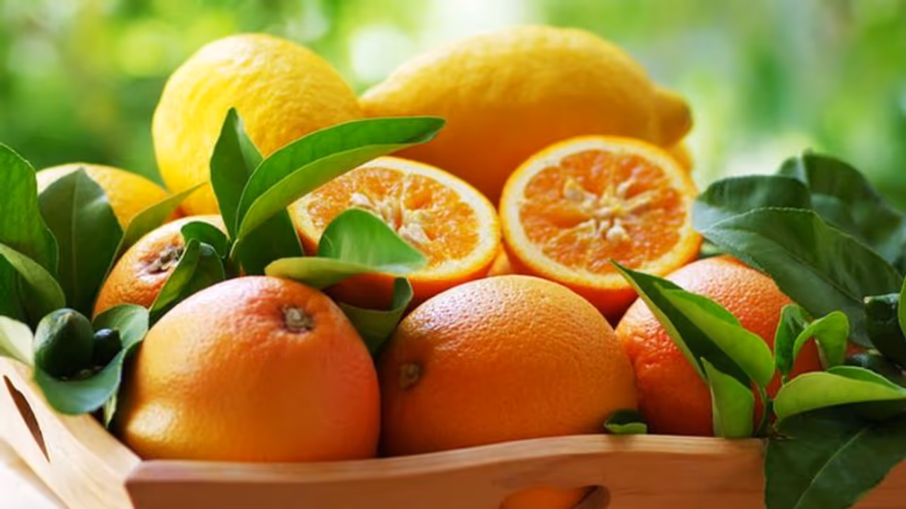 മുസംബി കഴിക്കാറുണ്ടോ? എങ്കില്, നിങ്ങളറിയേണ്ടത്... മുസംബി കഴിക്കാറുണ്ടോ? എങ്കില്, നിങ്ങളറിയേണ്ടത്...