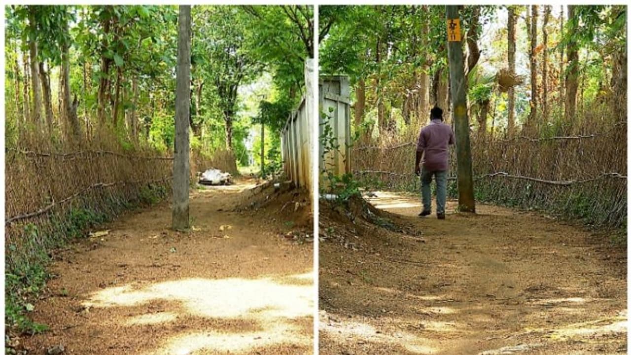 റോഡിന്റെ നടുക്ക് ഒരു വൈദ്യുത പോസ്റ്റ്! മന്ത്രി പറഞ്ഞിട്ടും മാറ്റിയില്ല; പൊറുതി മുട്ടി നാട്ടുകാർ റോഡിന്റെ നടുക്ക് ഒരു വൈദ്യുത പോസ്റ്റ്! മന്ത്രി പറഞ്ഞിട്ടും മാറ്റിയില്ല; പൊറുതി മുട്ടി നാട്ടുകാർ