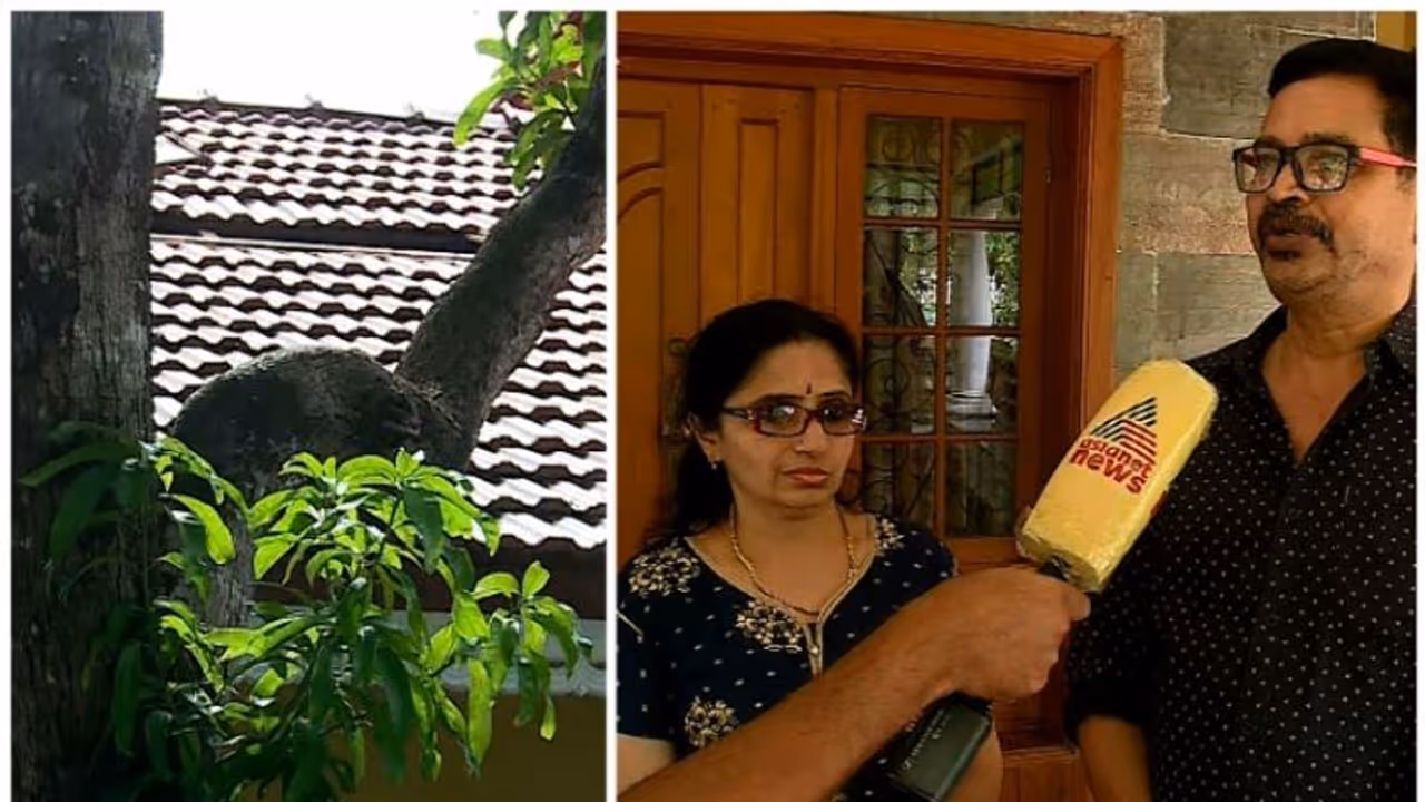 വീടിന്റെ ടെറസിൽ അപരിചിതനായ യുവാവ്! തങ്ങിയത് രണ്ടു ദിവസം; ഞെട്ടി വീട്ടുകാർ, പിടികൂടി പൊലീസിലേൽപ്പിച്ചു