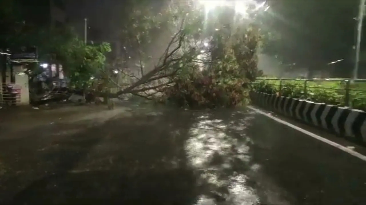 Chennai rains: Heaviest downpour in June in nearly 3 decades; Schools closed today (WATCH) Chennai rains: Heaviest downpour in June in nearly 3 decades; Schools closed today (WATCH)