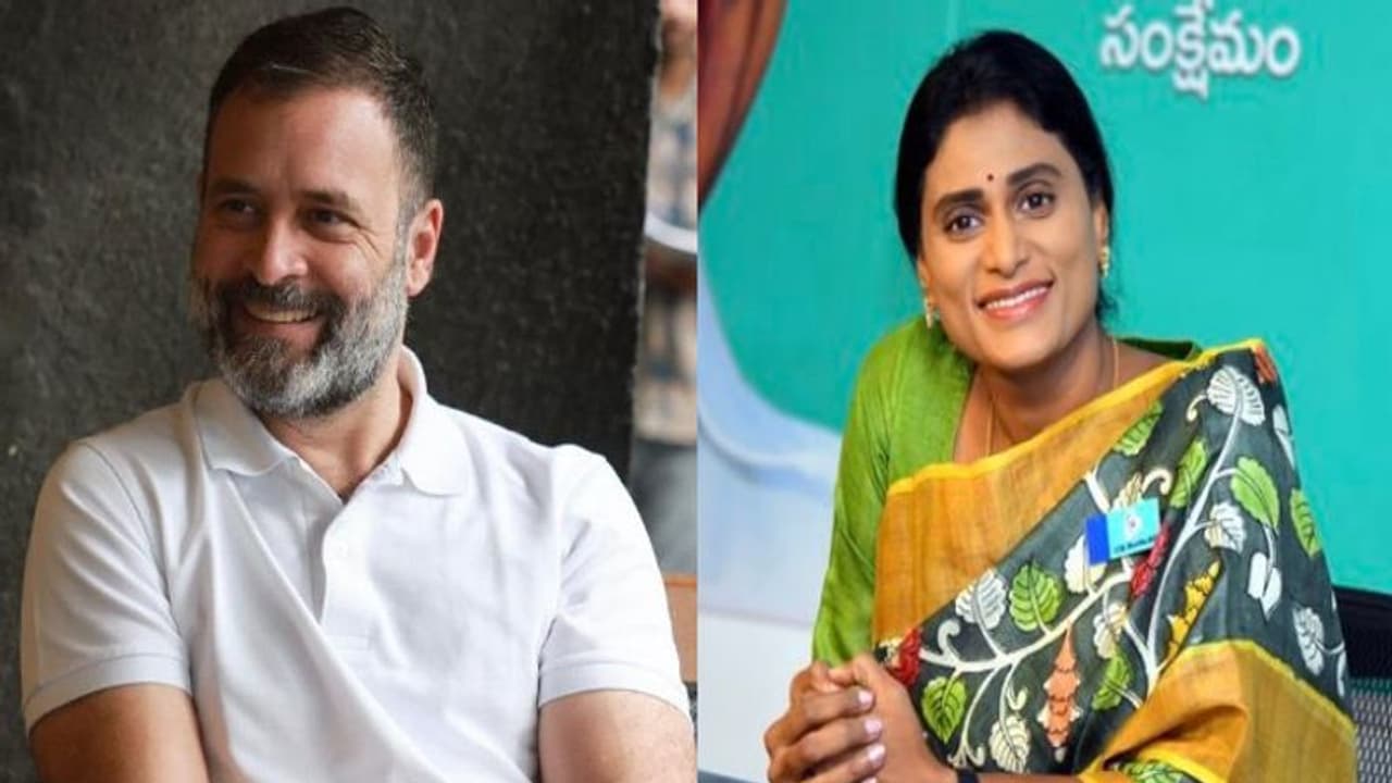 వైఎస్సార్ జయంతి సందర్భంగా రాహుల్ నివాళులు.. వైఎస్ షర్మిల రియాక్షన్ ఇదే.. 