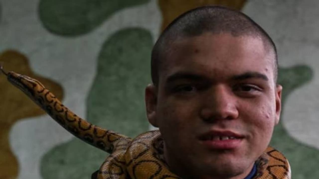 പാമ്പിനെ കഴുത്തിലിട്ടും മുതലകളെ തലോടിയും തെറാപ്പി!