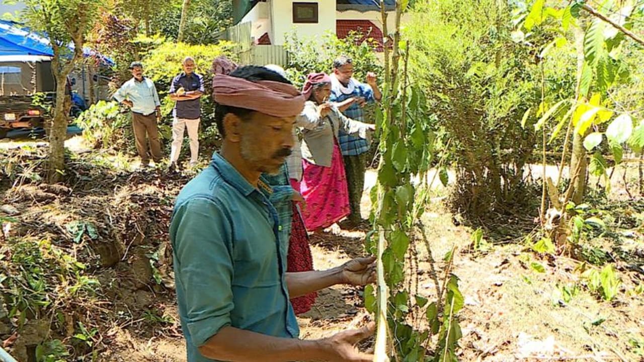  പത്തു ചെയിനിലെ പട്ടയ നടപടികള്‍ക്ക് പണപ്പിരിവ്; പുനരന്വേഷണത്തിന് കോടതി ഉത്തരവ്