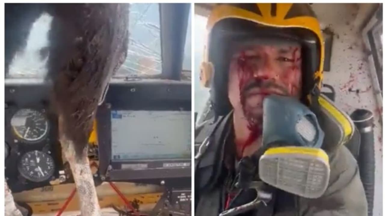 'പറക്കുന്ന വിമാനത്തിന്റെ ചില്ല് തകര്ത്ത് പക്ഷി, രക്തത്തില് കുളിച്ച് പൈലറ്റ്'; വൈറല് വീഡിയോ 'പറക്കുന്ന വിമാനത്തിന്റെ ചില്ല് തകര്ത്ത് പക്ഷി, രക്തത്തില് കുളിച്ച് പൈലറ്റ്'; വൈറല് വീഡിയോ