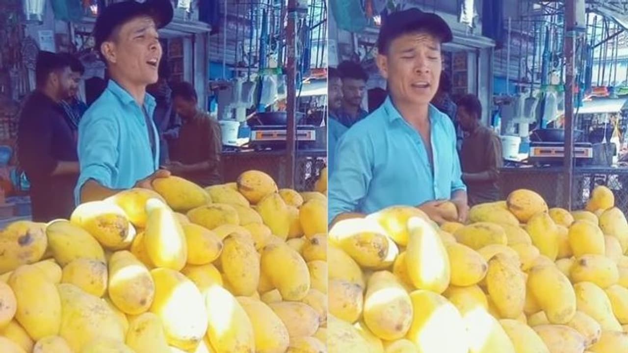 ವಕಾ ವಕಾ ಮ್ಯಾಂಗೋ : ವಿಭಿನ್ನವಾಗಿ ಮಾವು ಮಾರುವ ಶಕೀರಾ ಫ್ಯಾನ್‌ ಫುಲ್ ವೈರಲ್‌