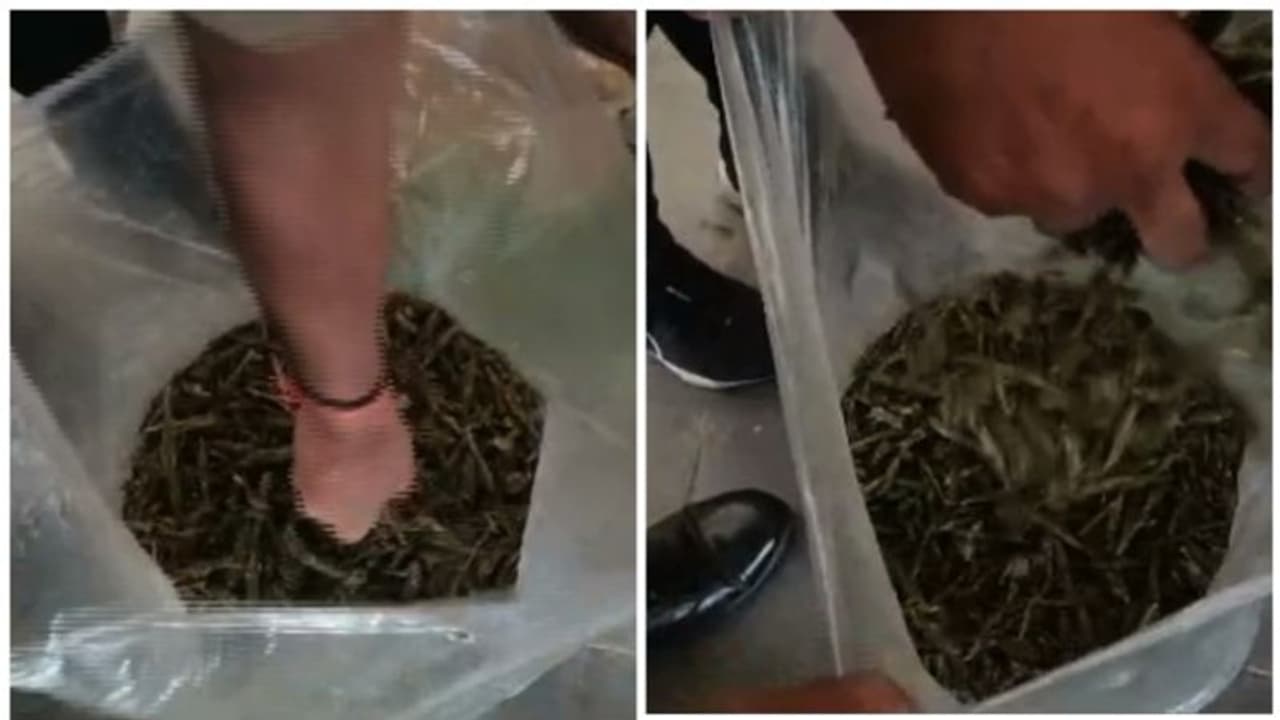 വടകരയില് ട്രെയിനില് ഉപേക്ഷിച്ച 5 കിലോ കഞ്ചാവ് പിടികൂടി, ഒളിപ്പിച്ചിരുന്നത് ബാഗിനുള്ളിലെ തുണികൾക്കിടയിൽ വടകരയില് ട്രെയിനില് ഉപേക്ഷിച്ച 5 കിലോ കഞ്ചാവ് പിടികൂടി, ഒളിപ്പിച്ചിരുന്നത് ബാഗിനുള്ളിലെ തുണികൾക്കിടയിൽ