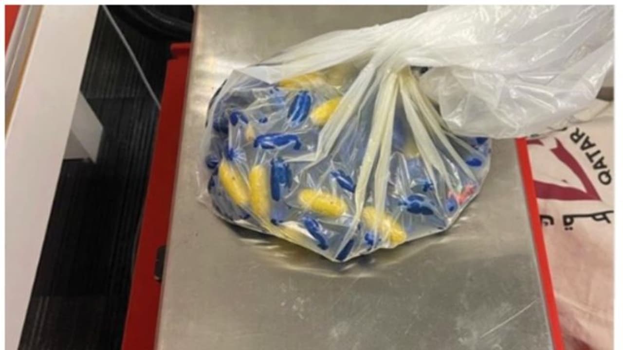 ഇറച്ചി കൊണ്ടുവന്ന കവറില്‍ കസ്റ്റംസിന് സംശയം; വിമാനത്താവളത്തിലെ പരിശോധനയില്‍ കണ്ടെത്തിയത് വന്‍ കള്ളക്കടത്ത്