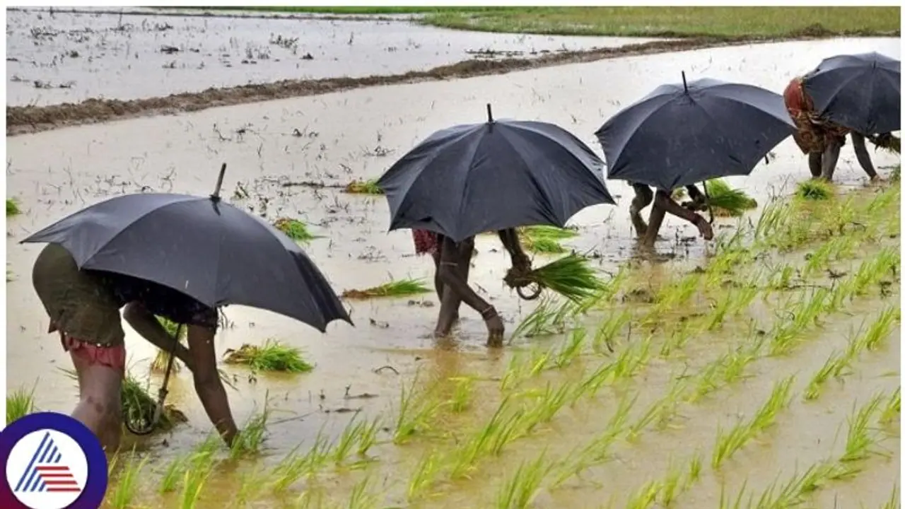 ಮುಂಗಾರು ಕೈಕೊಡುವ ಮುನ್ಸೂಚನೆಯೇ ಇಲ್ಲ: ಹವಾಮಾನ ಇಲಾಖೆ ಘೋಷಣೆ